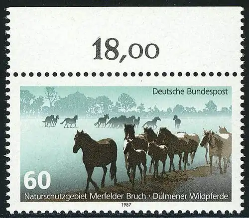 1328 Naturschutz Dülmener Wildpferde ** Oberrand