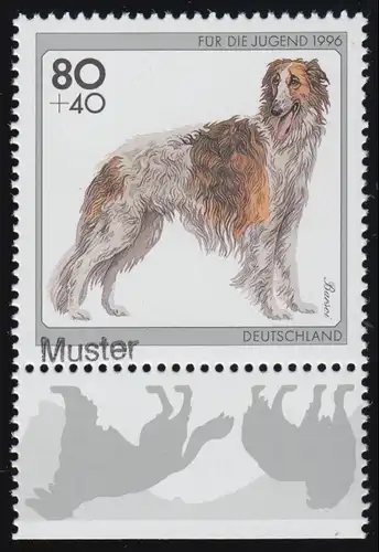 1836 jeunes races de chiens Barsoi, non plié, imprimé modèle