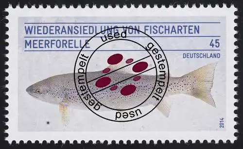 3120 Wiederansiedlung der Fischarten - Die Meerforelle O