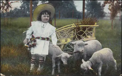 Filles AK animal en robe de marin avec moutons, ANTWERPEN / ANVERS 24.6.1907