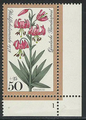 984 Waldblumen 50+25 Pf Türkenbund ** FN1