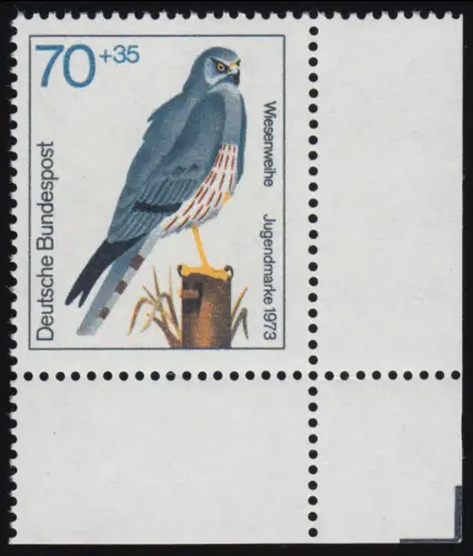 757 Jugend Greifvögel 70+35 Pf Wiesenweihe postfrisch ** Ecke u.r.
