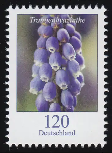 3447 fleur de raisin hyazinthe 120 centimes, ** frais de port