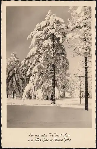 Landpost Tellerhäuser / Kreis Schwarzenberg, ZWICKAU (SACHSEN) 21.12.1960 auf AK