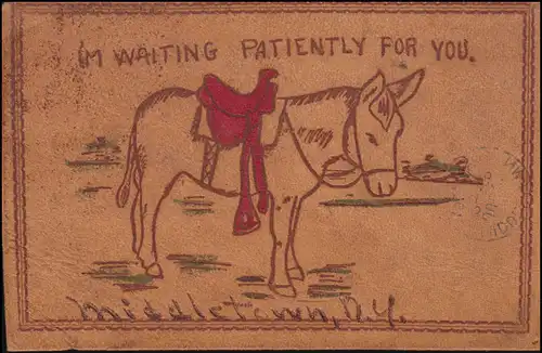 USA: Carte postale en cuir sans caractère franc, MIDDLETOWN N.Y. 1906
