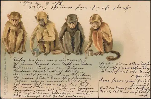 AK Art Quatre singes avec pinceau et pot de peinture, CASSEL vers 1910