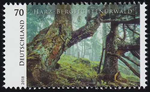 3410 Allemagne sauvage: résine - forêt de la montagne de Fichenfurwald, **