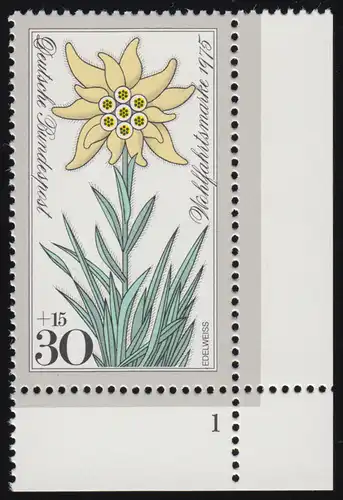 867 fleurs 30+15 Pf Edelweiss ** FN1