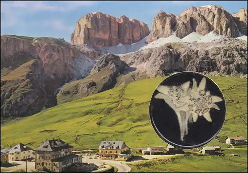 Italien-AK Dolomiten Pordoipass mit echtem Edelweiß, Lokal-Stempel, ungebraucht