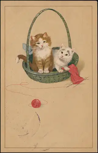 Ansichtskarte Katzen im Korb, ROTTERDAM 20.8.1910 nach STEES 20.8.10