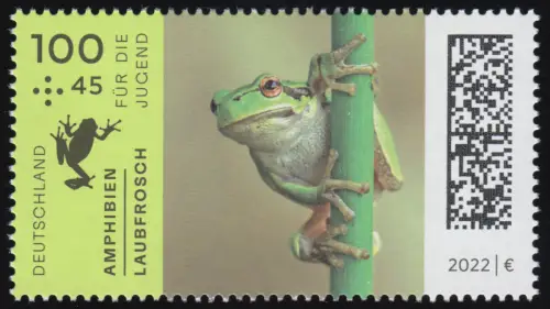 3707 Jeunesse Amphibiens: Grenouille à feuilles, ** post-fraîchissement