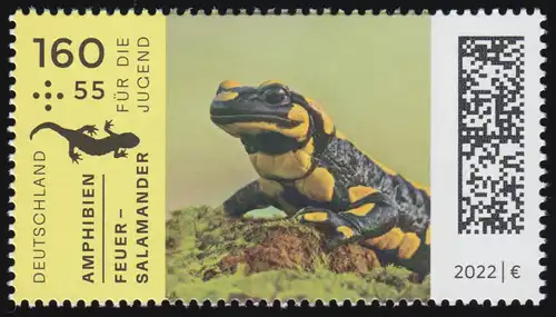 3708 Amphibiens jeunes: salamandres de feu, ** post-frais