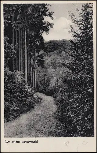 Post de campagne 22b Muscheid sur les Églises des Âges (Westerwald) 14.9.1959 sur AK