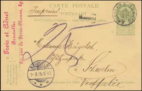 Belgien Postkarte P 44a Jubiläum Braun, BRÜSSEL/BRUXELLES 31.7.1905 nach SCHWELM