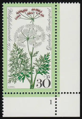 949 Wiesenblumen 30+15 Pf Kümmel ** FN1