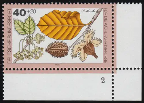 1024 arbres 40+20 Pf hêtre rouge ** FN2