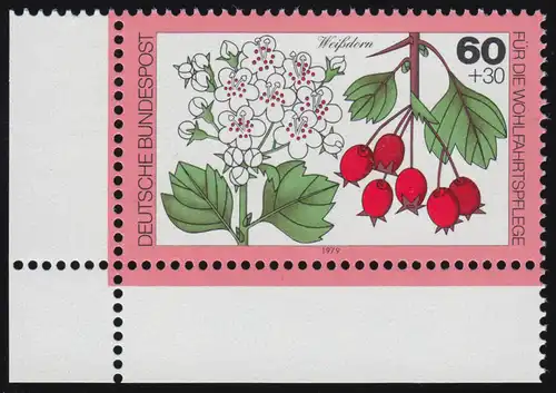 1026 Bäume 60+30 Pf Weißdorn ** Ecke u.l.