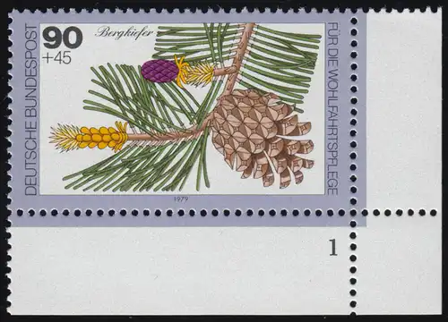 1027 arbres 90+45 pf pin de montagne ** FN1