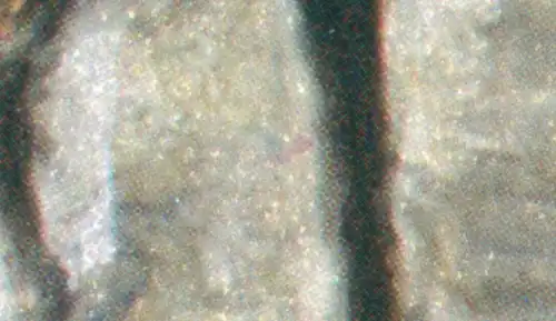 987II Impressionismus 70 Pf Liebermann ** Ecke u.l. mit PLF II Flecken am Bein