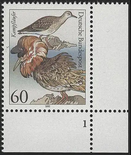 1539 Seevögel 60 Pf Kampfläufer ** FN1