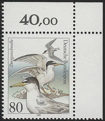 1540 Seevögel 80 Pf Zwergseeschwalbe ** Ecke o.r.