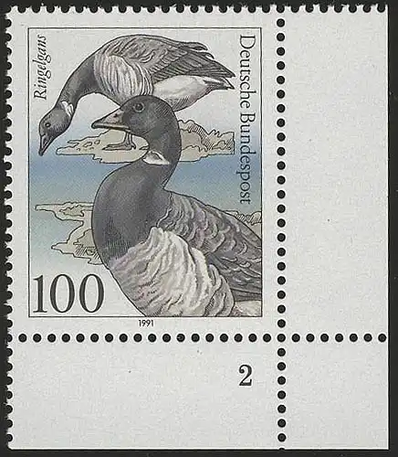 1541 Seevögel 100 Pf Ringelgans ** FN2
