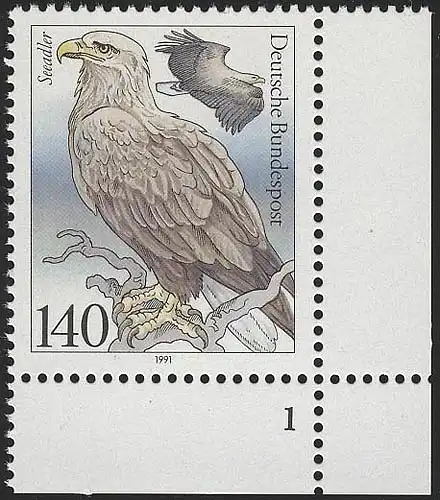 1542 Seevögel 140 Pf Seeadler ** FN1