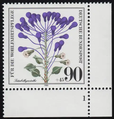 1062 herbes sauvages Hyazinthe 90+45 Pf ** FN1