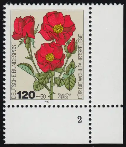 1153 Rose de jardin de bien-être 120+60 Pf ** FN2