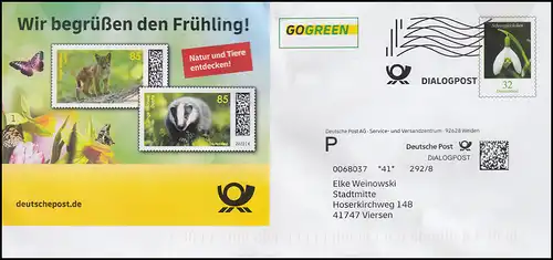 Lettre de plus Dialogue Post Le Petit Bouclier de Neige Printemps Enfants d'animaux Lynx Blair, 2022