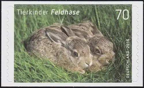 3223 Feldhase, selbstklebend NEUTRALE Folie, 10 Einzelmarken, alle **