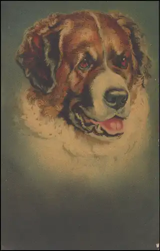 Poste de terrain 5. Art. munitions Coll. XVI. A.K. 23.2.17 sur AK peintures portrait de chien