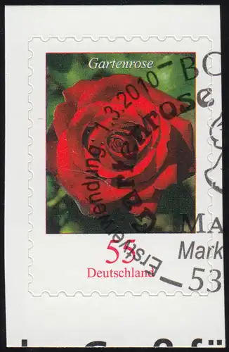 2675 Rose de jardin avec parfum , SANS OBJET en feuille 7, O