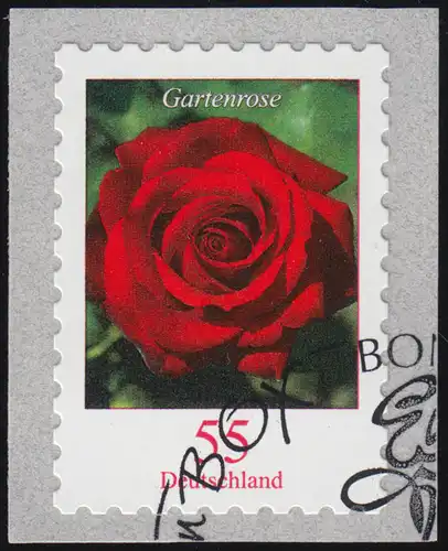 2675 Rose de jardin auto-adhésif en rouleau O