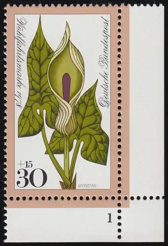 982 Fleurs forestières 30+15 Pf Aronstab ** FN1