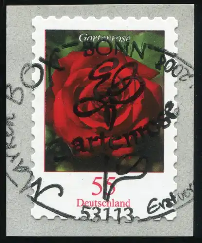 2675 Rose de jardin auto-adhésif en rouleau, EV-O Bonn