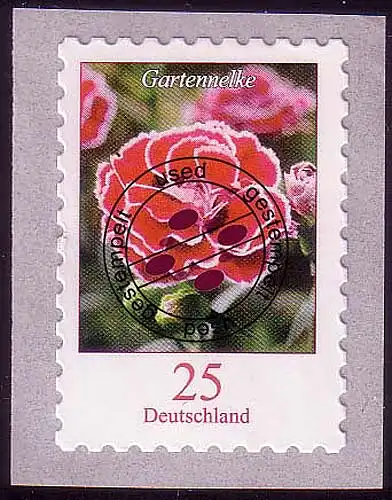 2699 Blumen 0,25 C Gartennelke SELBSTKLEBEND O