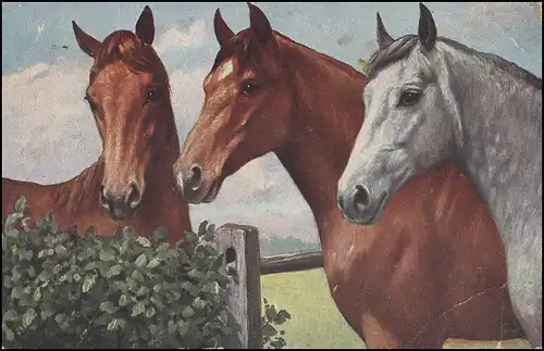 Feldpost mit BS 5.A.M.K. 16.A.K. FELDPOST 4.2.17 auf AK Gemälde Drei Pferde
