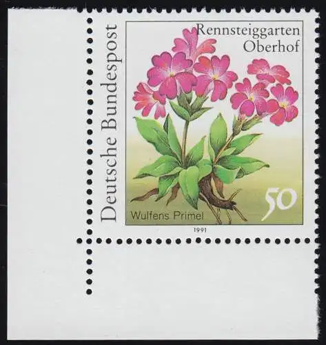 1506F Jardin de course Wulfens Primel 50 p. SANS fluorescence, coin unt. gauche **