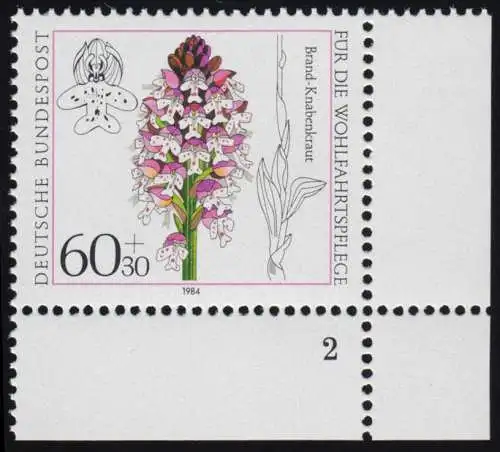 1226 Sauvage Orchidées 60+30 Pf ** FN2