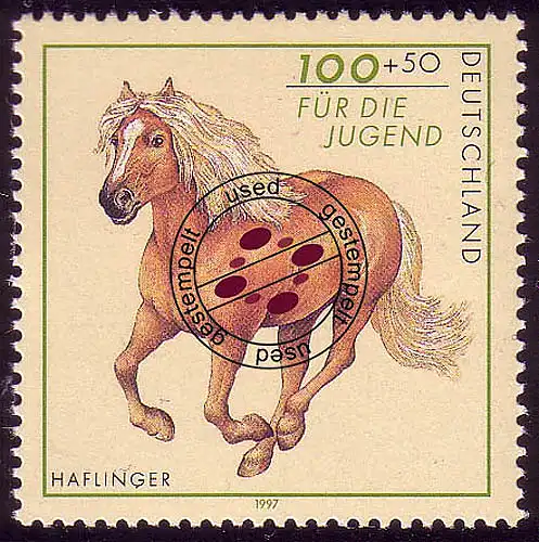 1923 Jugend Pferderassen Haflinger O