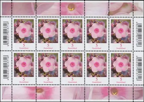 3296 Blumen 5 Cent Phlox - Zehnerbogen ** postfrisch