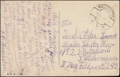 Feldpost AK Tulln an der Donau Panorama, HAUSLEITEN 7.8.1916 an Feldpost 242 