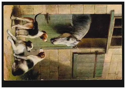 Tiere-AK Im Gestüt: Pferd mit Jagdhunde, Verlag T.S.N. 1606, ungebraucht um 1920