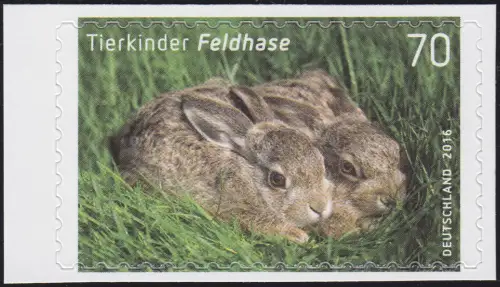3223 Tierkinder: Feldhase, selbstklebend aus Folienblatt 55, postfrisch **