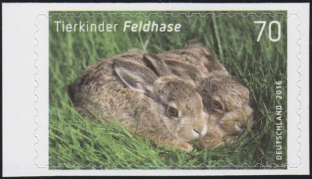 3223 Tierkinder: Feldhase, selbstklebend aus Folienblatt 55, **