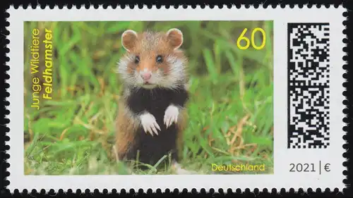 3608 Jeunes animaux sauvages: Hamster de campagne, ** post-fraîchissement