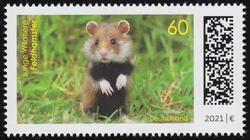3608 Junge Wildtiere: Feldhamster, ** postfrisch