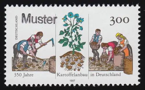 1946 Kartoffelanbau in Deutschland, Muster-Aufdruck