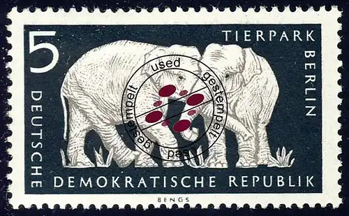551 Animaux Parc 5 Pf Eléphants indiens O